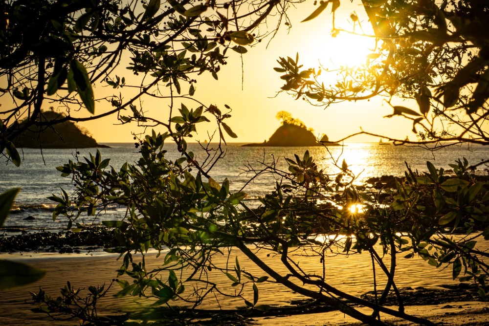 Las Catalinas Image 3